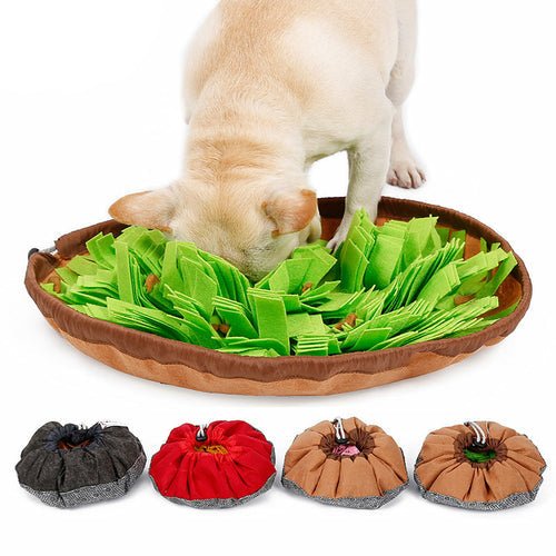 Sniffing Training Mat