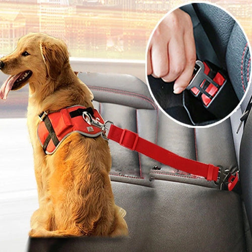 Safety Car Seat Belt