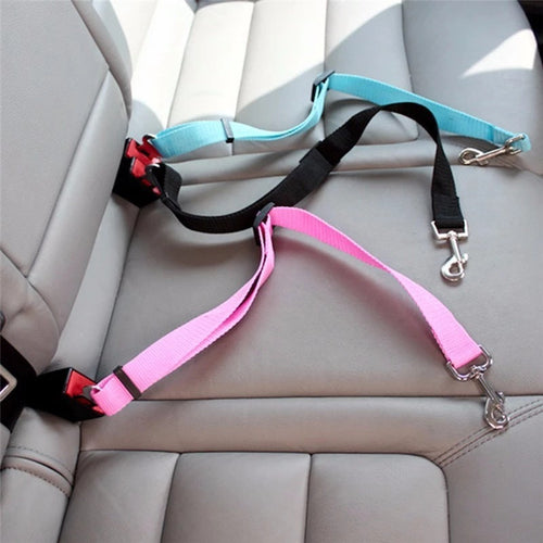 Safety Car Seat Belt