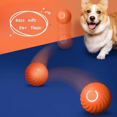Smart Interactive Ball