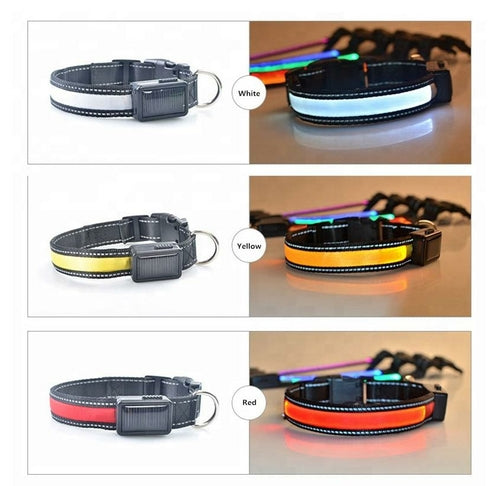 LED Solar Dog Collar