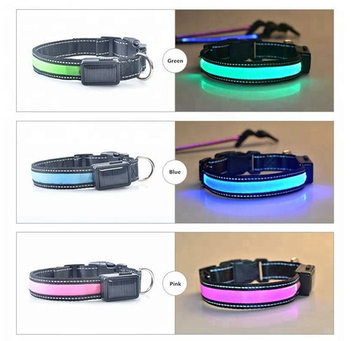 LED Solar Dog Collar