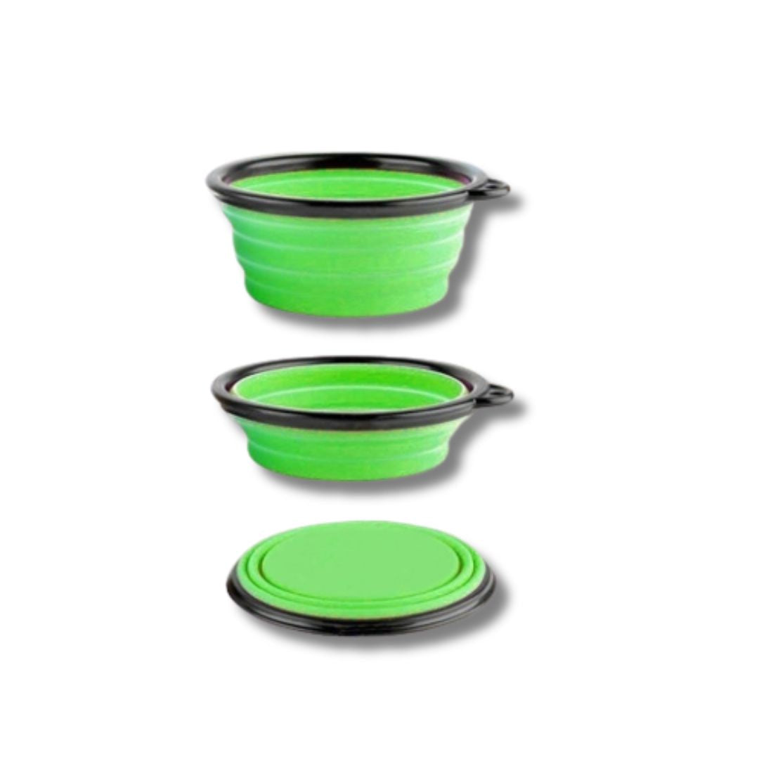 Foldable Silicone Bowl