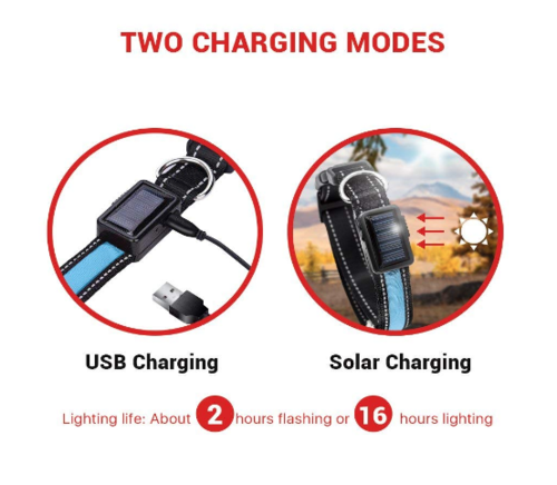 LED Solar Dog Collar