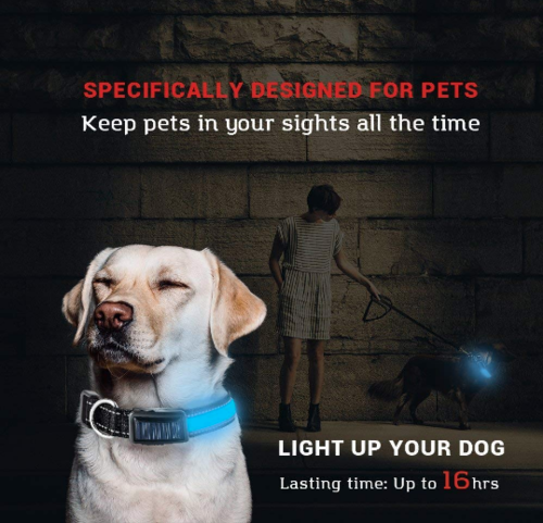 LED Solar Dog Collar