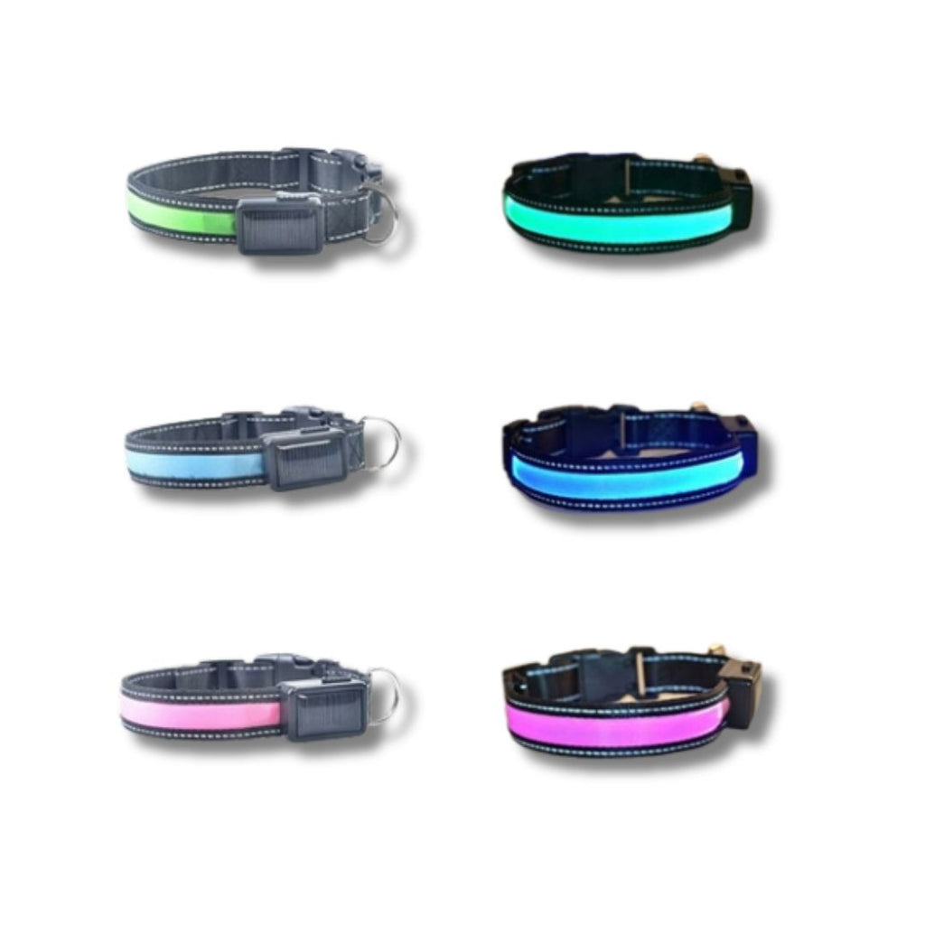 LED Solar Dog Collar