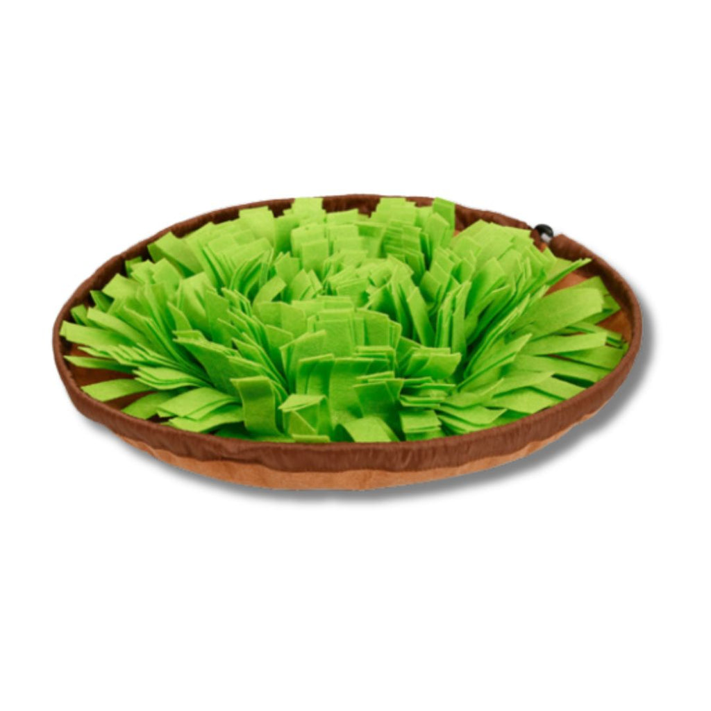 Sniffing Training Mat