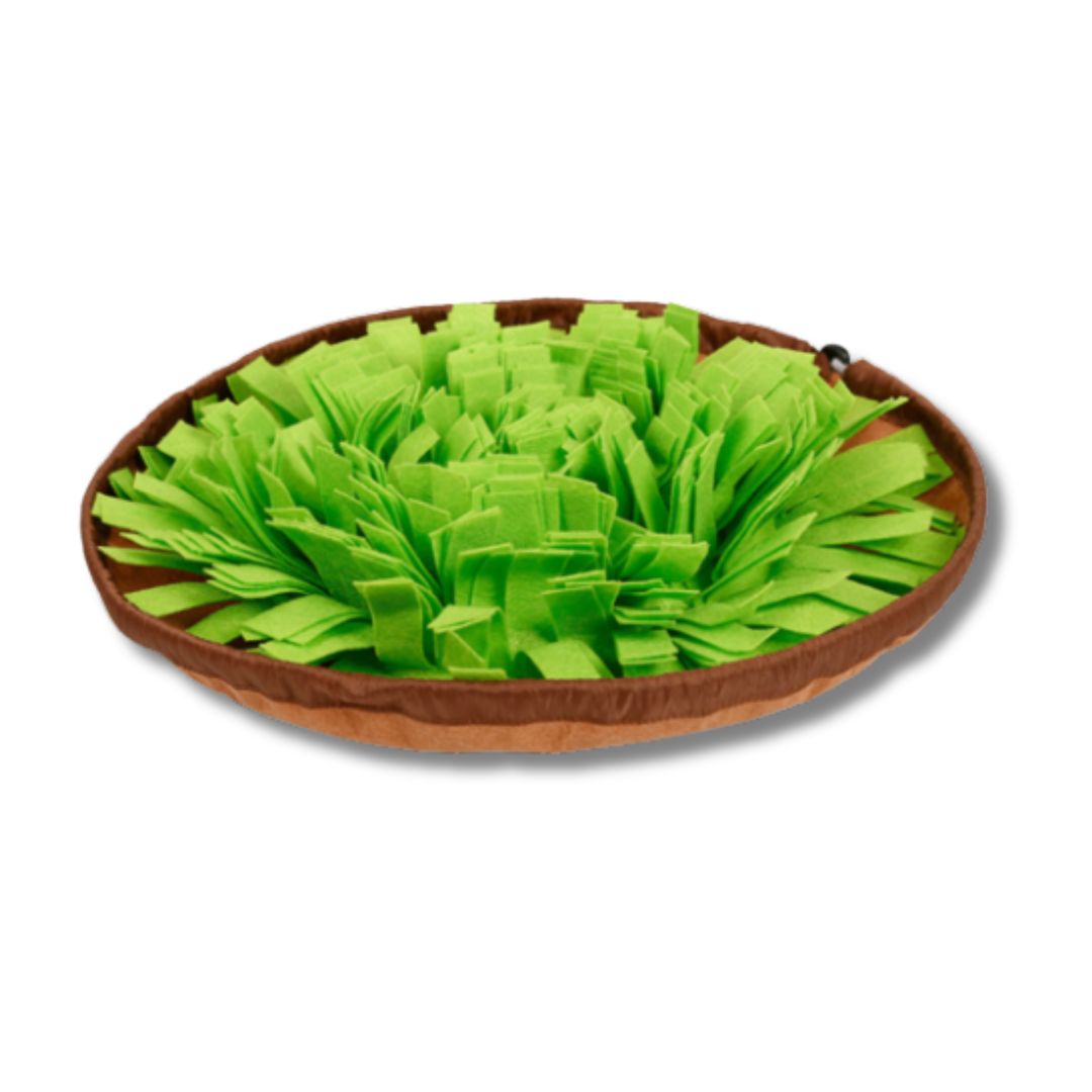 Sniffing Training Mat